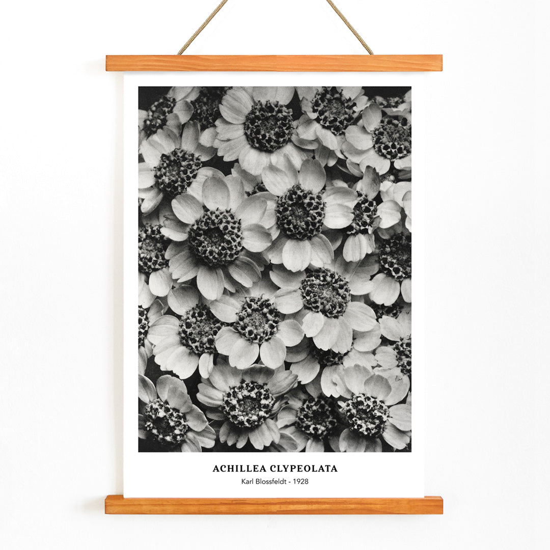 , with wooden magnetic frame on white background