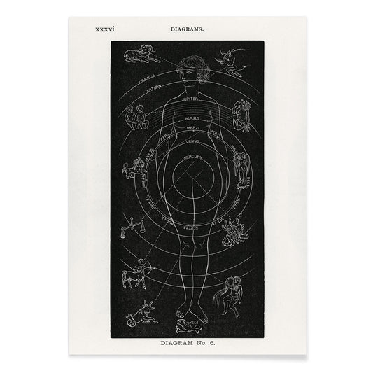 Astrological human body diagram and poster with zodiac signs planets and symbols by Hiram Erastus Butler from Solar Biology, with black aluminium frame on white background