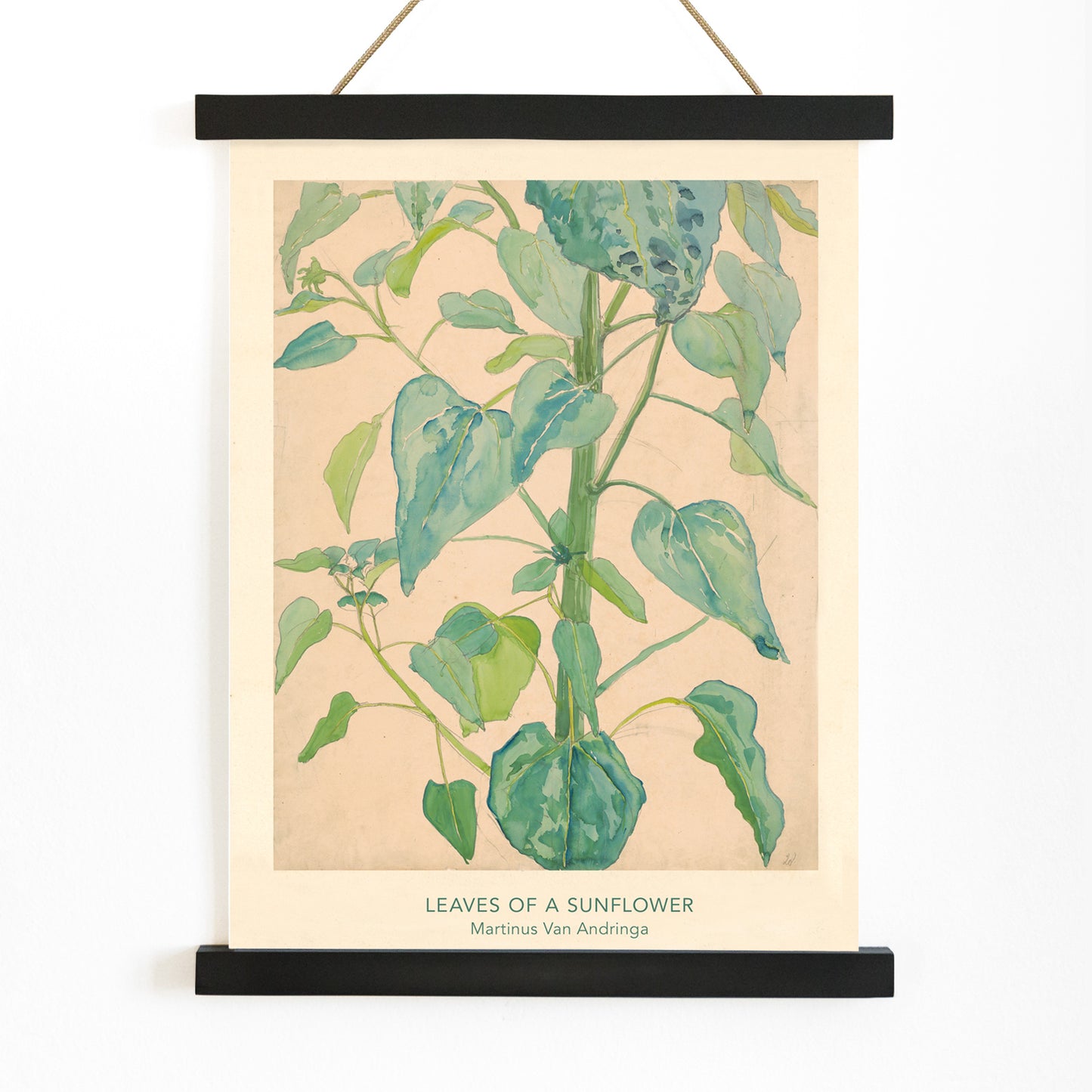 Botanical watercolor illustration of sunflower leaves by Martinus van Andringa detailed artwork poster, with wooden magnetic frame on white background