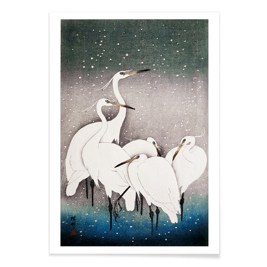 Group of egrets standing together in the snow artwork by Ohara Koson poster, with black aluminium frame on white background