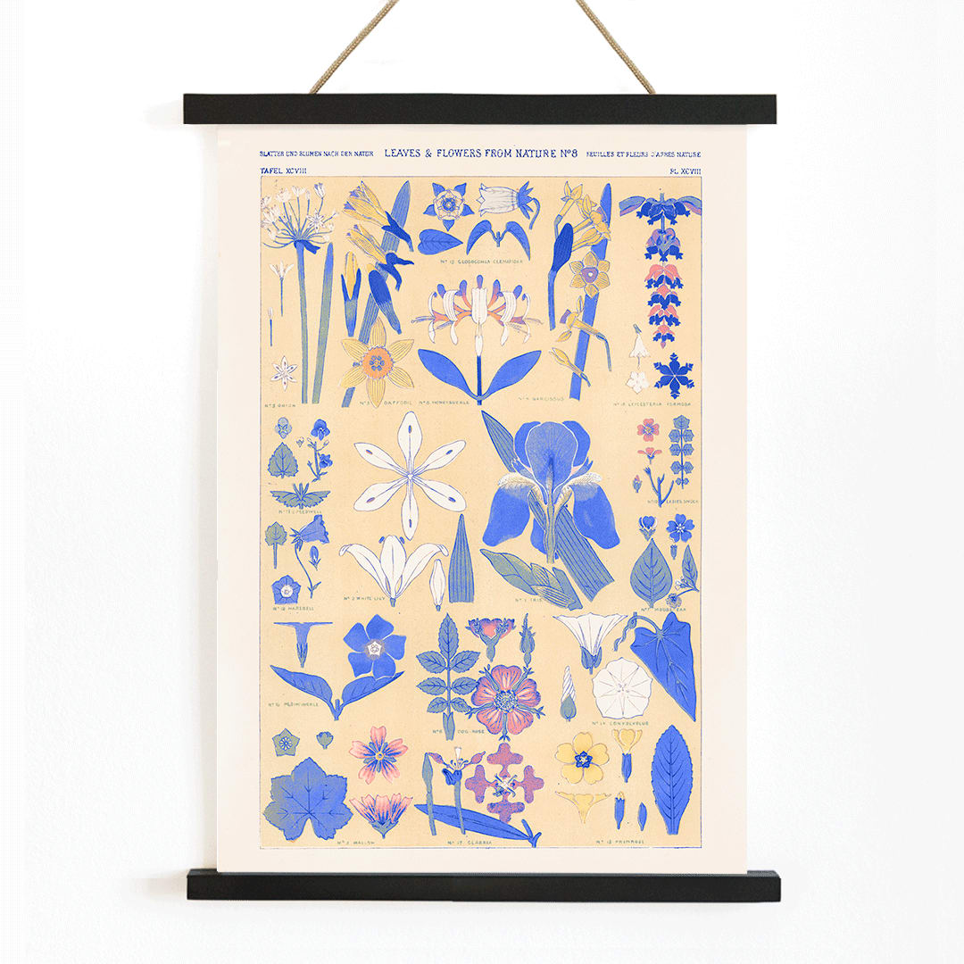 Blue set of leaves and flowers by Owen Jones botanical illustration poster featuring blue and yellow flowers and leaves, with wooden magnetic frame on white background