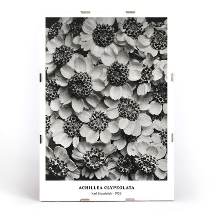 , framed and displayed in modern living room decor