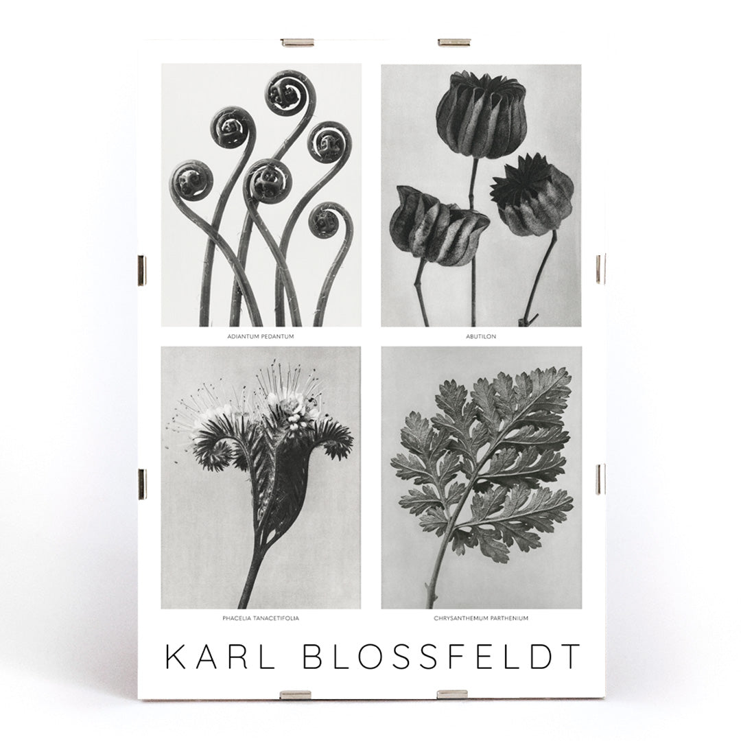 , framed and displayed in modern living room decor