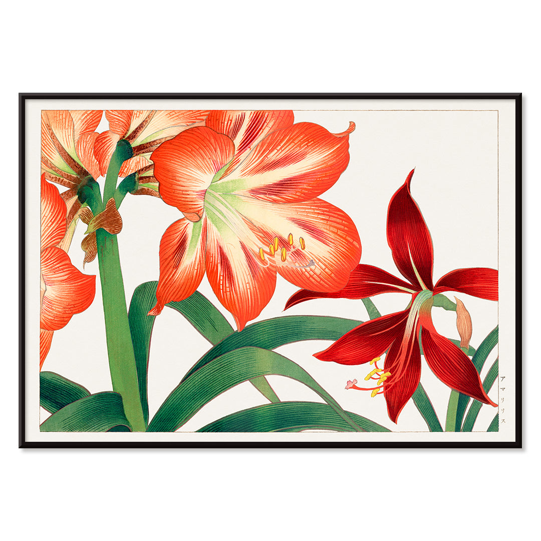 , with black aluminium frame on white background