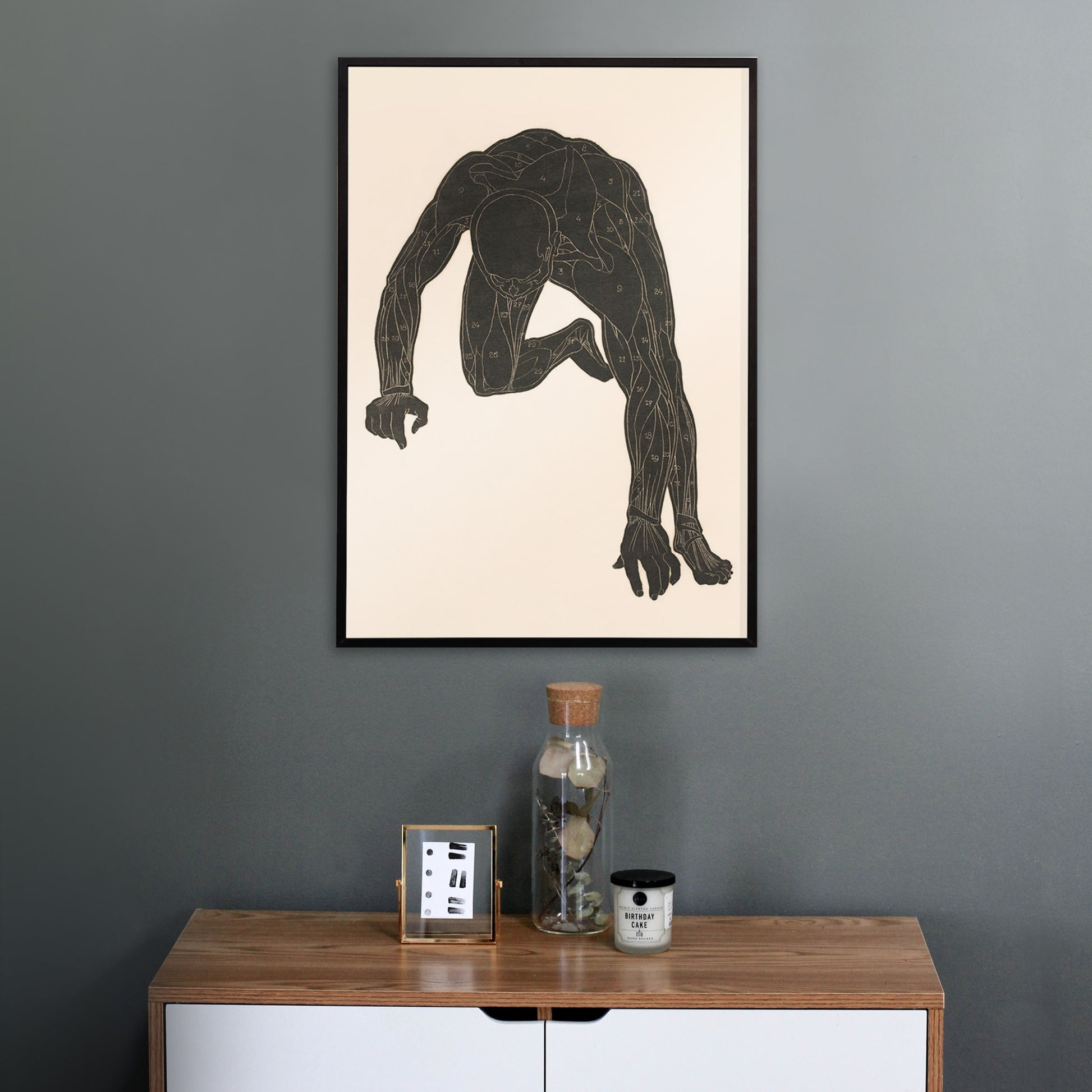 Anatomical illustration of human muscular anatomy and crouching figure from Neck Muscles by Reijer Stolk, framed and displayed in home decor