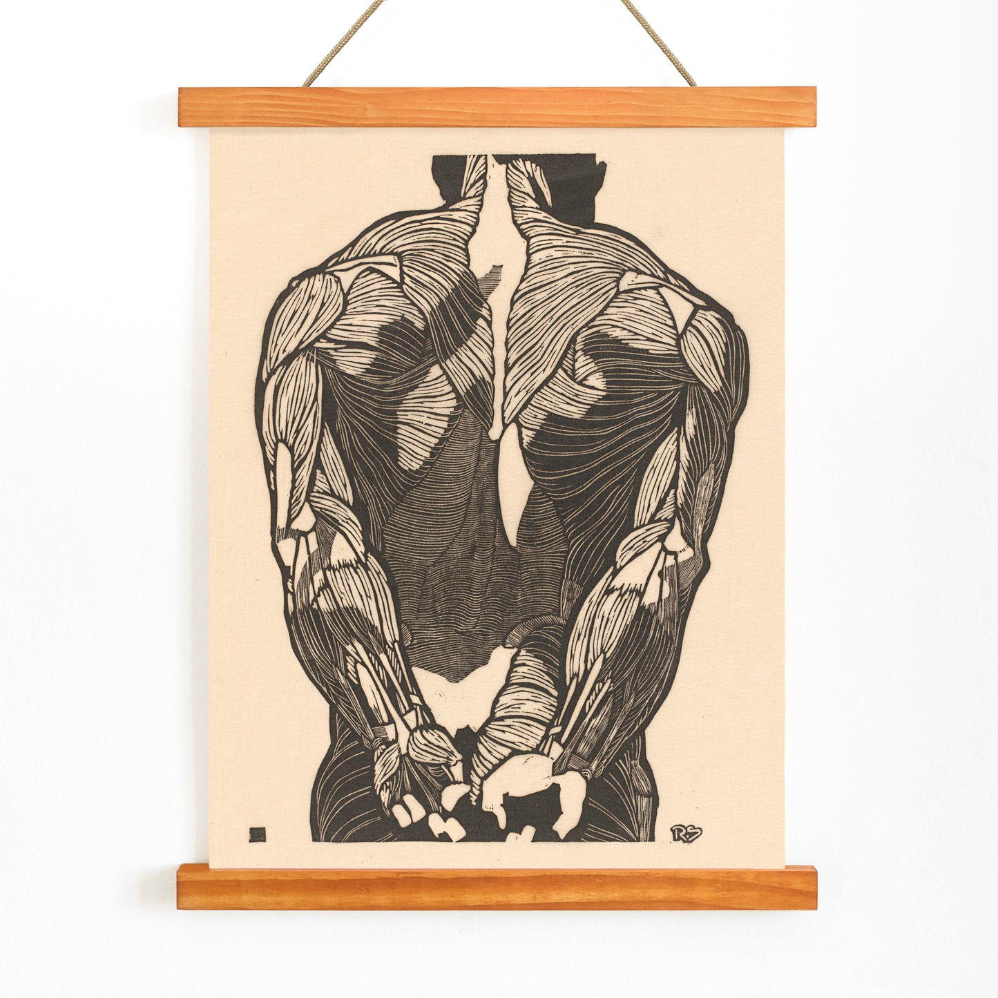 Detailed anatomical illustration of human back muscles artwork titled Back Muscles by Reijer Stolk with intricate linework, with wooden magnetic frame on white background