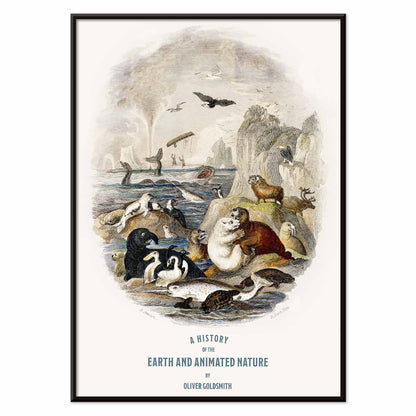 Hand drawn illustration and poster of animals in natural landscape from A history of the earth and animated nature by Oliver Goldsmith featuring sea and land creatures, with black aluminium frame on white background