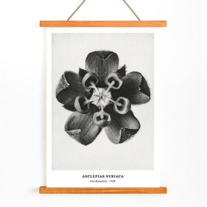 , with wooden magnetic frame on white background