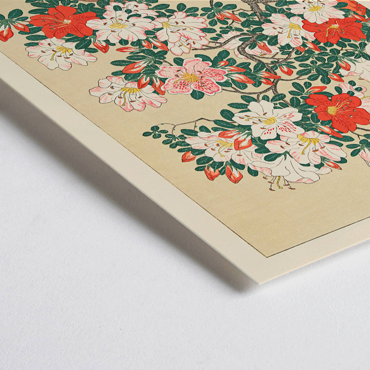 Closeup detail of Potted azalea in bloom with red and white flowers botanical artwork Flowering azalea by Ohara Koson poster