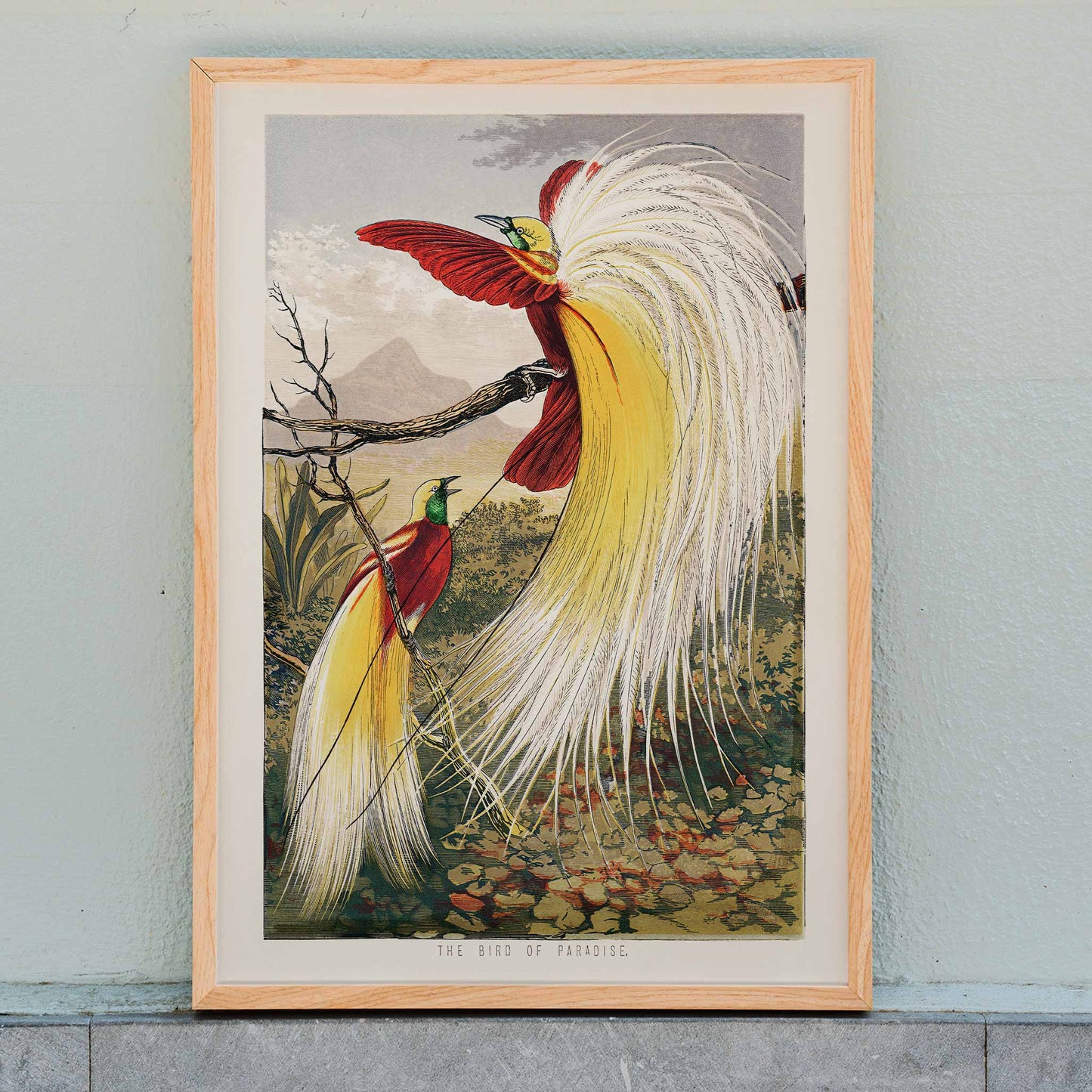 Bird of Paradise by Benjamin Fawcett vibrant colorful exotic birds with ornate feathers perched on a branch in a lush paradise landscape poster, framed and displayed in home decor