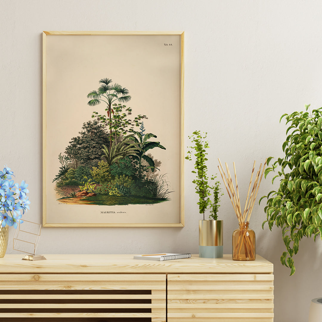 Botanical illustration poster of Mauritia Armata from Historia Naturalis Palmarum by Carl Friedrich Philipp von Martius featuring detailed tropical plants, framed and displayed in home decor