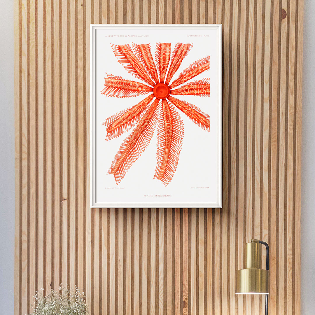 , framed and displayed in home decor