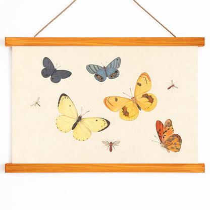 Illustration and poster of butterflies wasp and flies from Five Butterflies a Wasp and Two Flies by Pieter Withoos, with wooden magnetic frame on white background