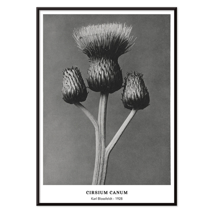 , with black aluminium frame on white background