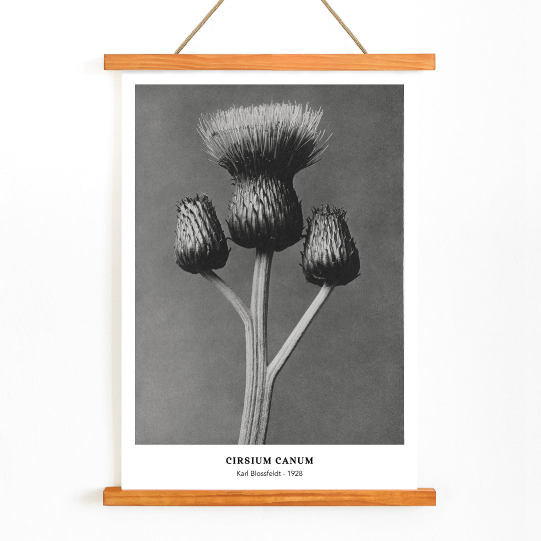 , with wooden magnetic frame on white background