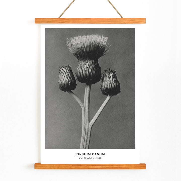 , with wooden magnetic frame on white background