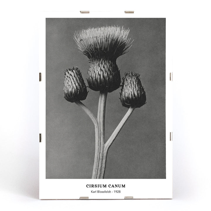 , framed and displayed in modern living room decor