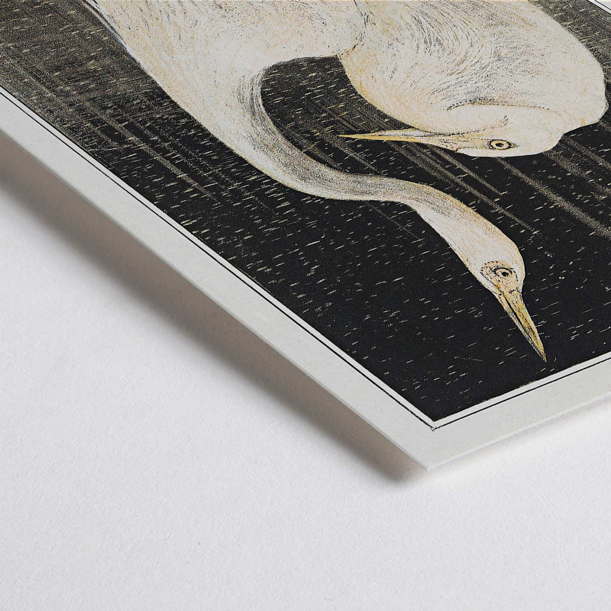 Closeup detail of Two white herons depicted in artwork Twee zilverreigers by Theo van Hoytema poster suitable for wall decor against a dark background