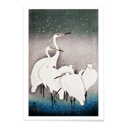 Group of egrets standing together in the snow artwork by Ohara Koson poster, with black aluminium frame on white background