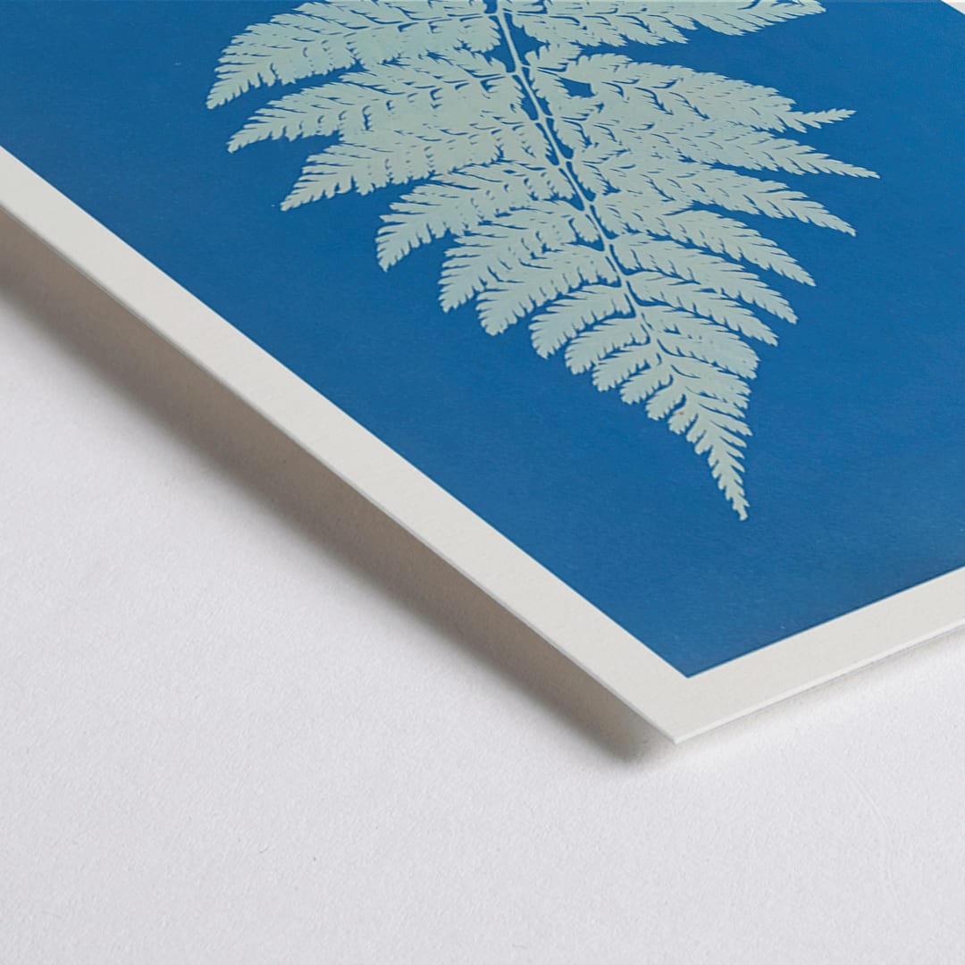 Closeup detail of Botanical cyanotype artwork and framed poster of Lastrea Spinulosa by Anna Atkins featuring a detailed fern leaf on a deep blue background
