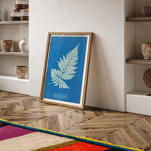 Botanical cyanotype artwork and framed poster of Lastrea Spinulosa by Anna Atkins featuring a detailed fern leaf on a deep blue background, framed and displayed in home decor