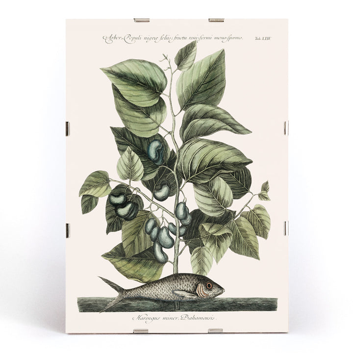 , framed and displayed in modern living room decor