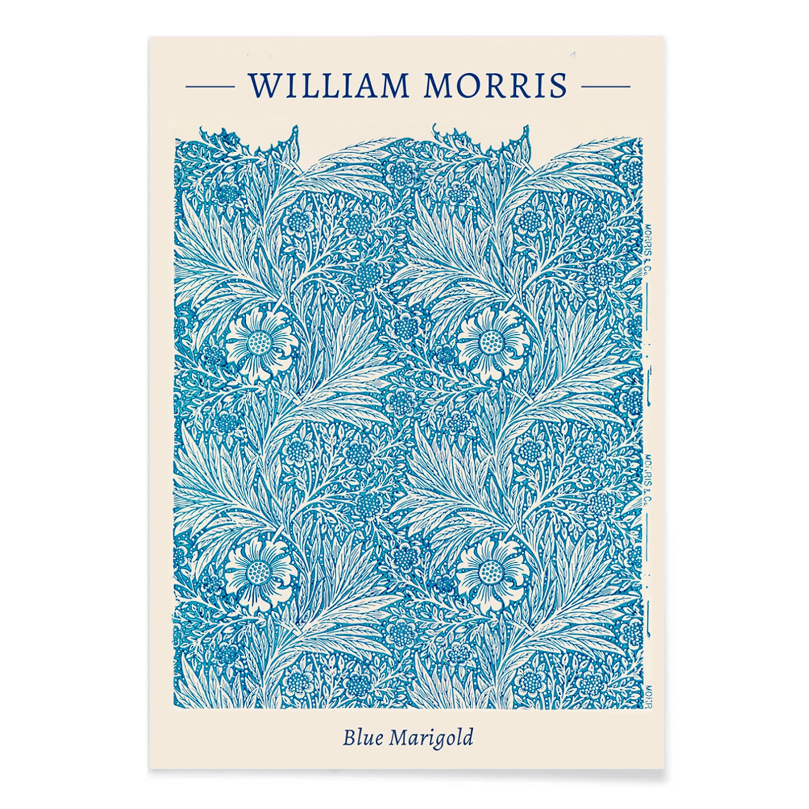 Blue Marigold illustration by William Morris featuring intricate blue floral patterns and leafy designs poster and artwork, with black aluminium frame on white background