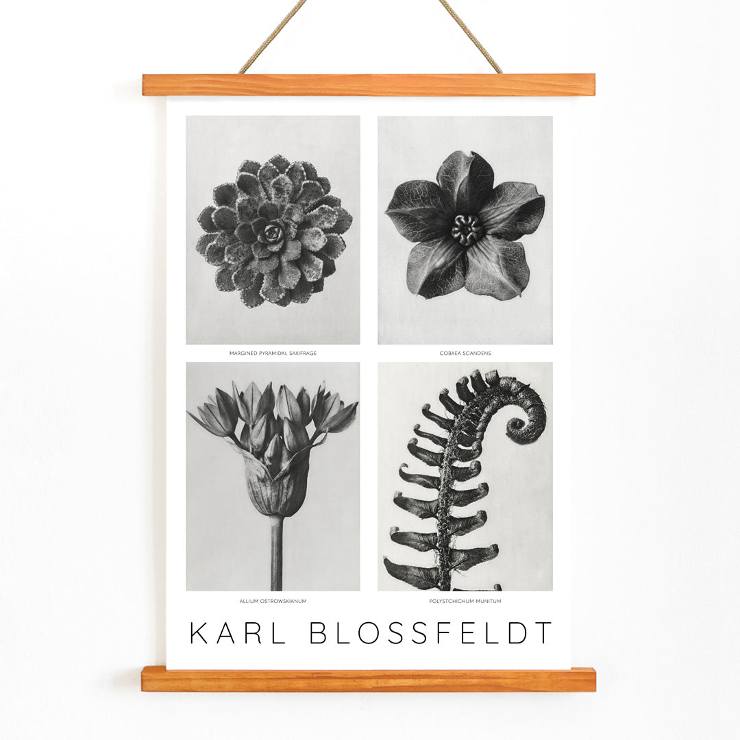 , with wooden magnetic frame on white background