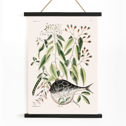 , with wooden magnetic frame on white background