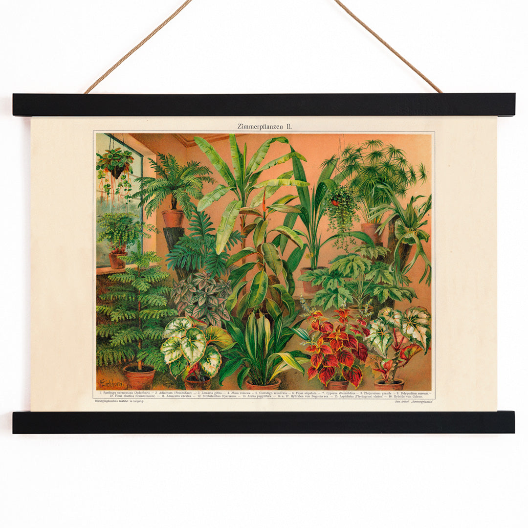 Colorful indoor foliage and potted green plants poster titled House Plants II by Institute of Liepzig featuring various house plants in pots against a warm background, with wooden magnetic frame on white background
