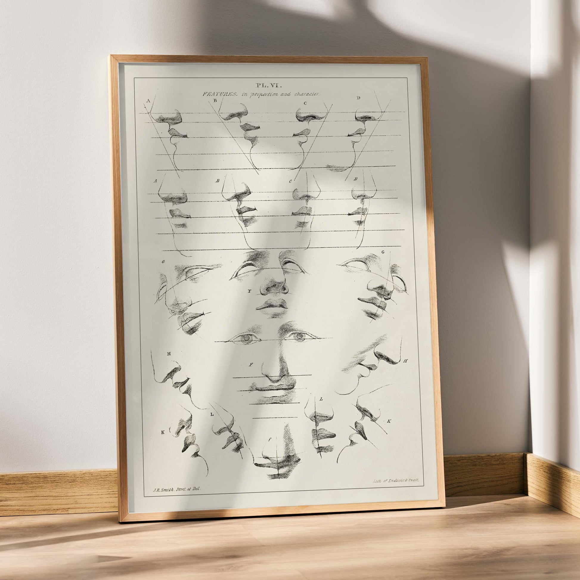 John Rubens Smith human figure drawing study poster with black and white facial feature sketches, framed and displayed in modern living room decor
