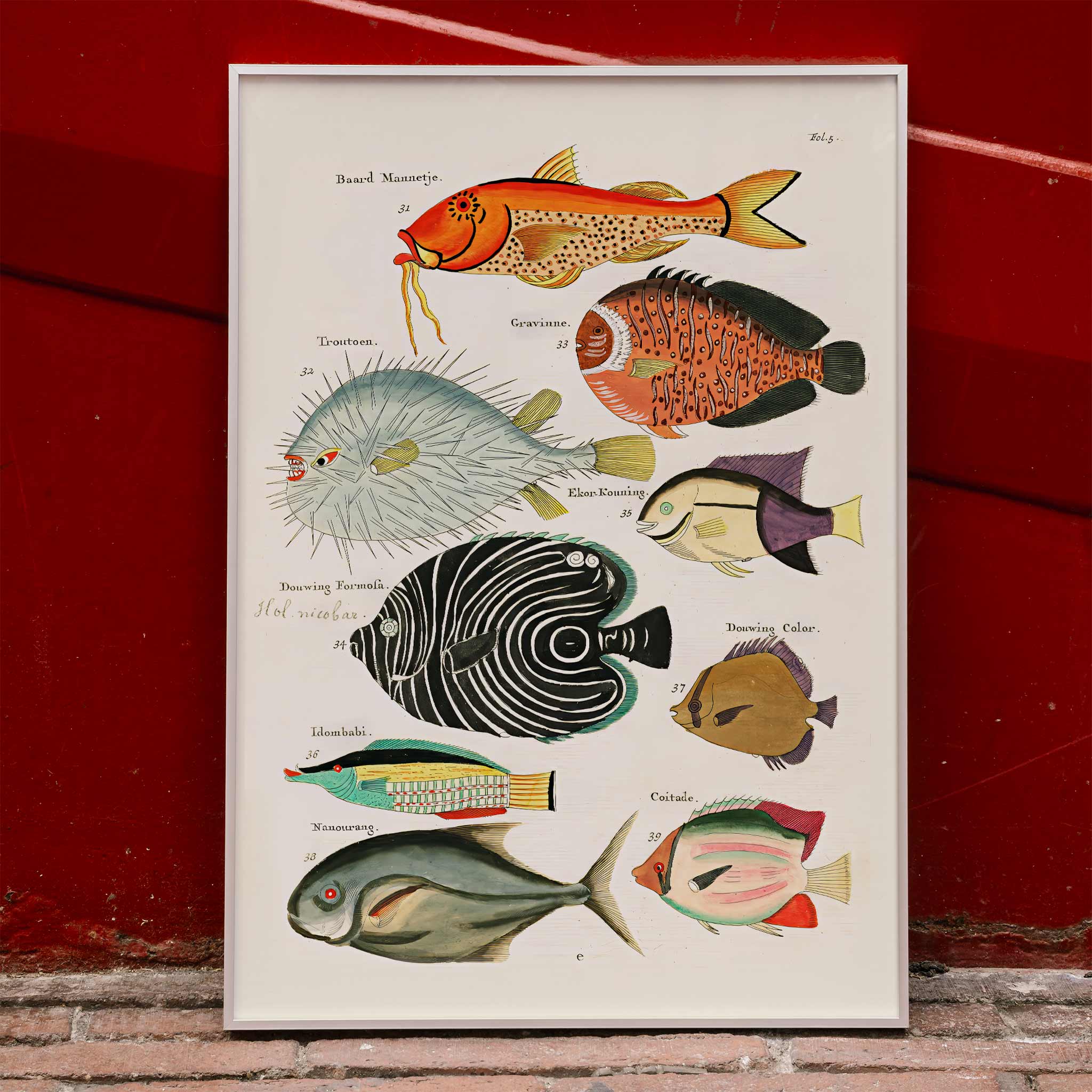 Póster | Peces surrealistas — Louis Renard 1754 | MORYARTY