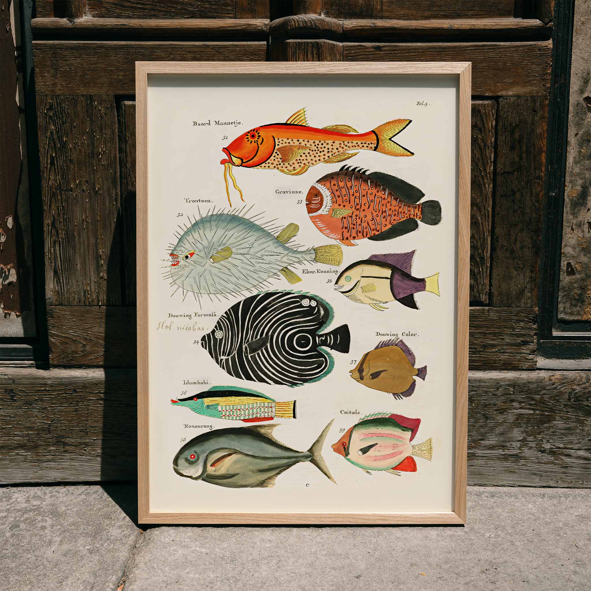 Póster | Peces surrealistas — Louis Renard 1754 | MORYARTY