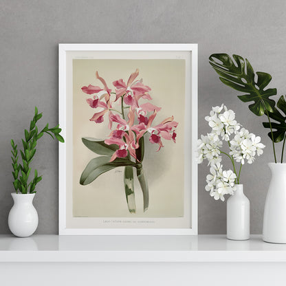 , framed and displayed in home decor