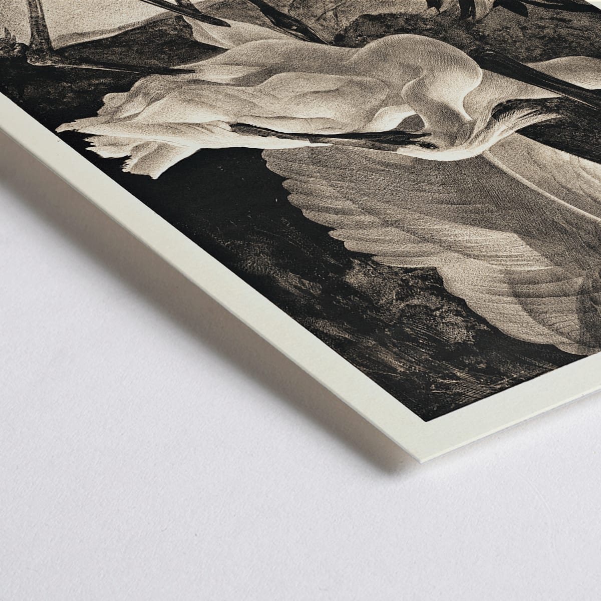 Closeup detail of Egrets and spoonbills in natural setting from Lepelaars artwork by Adriaan van Hoff poster