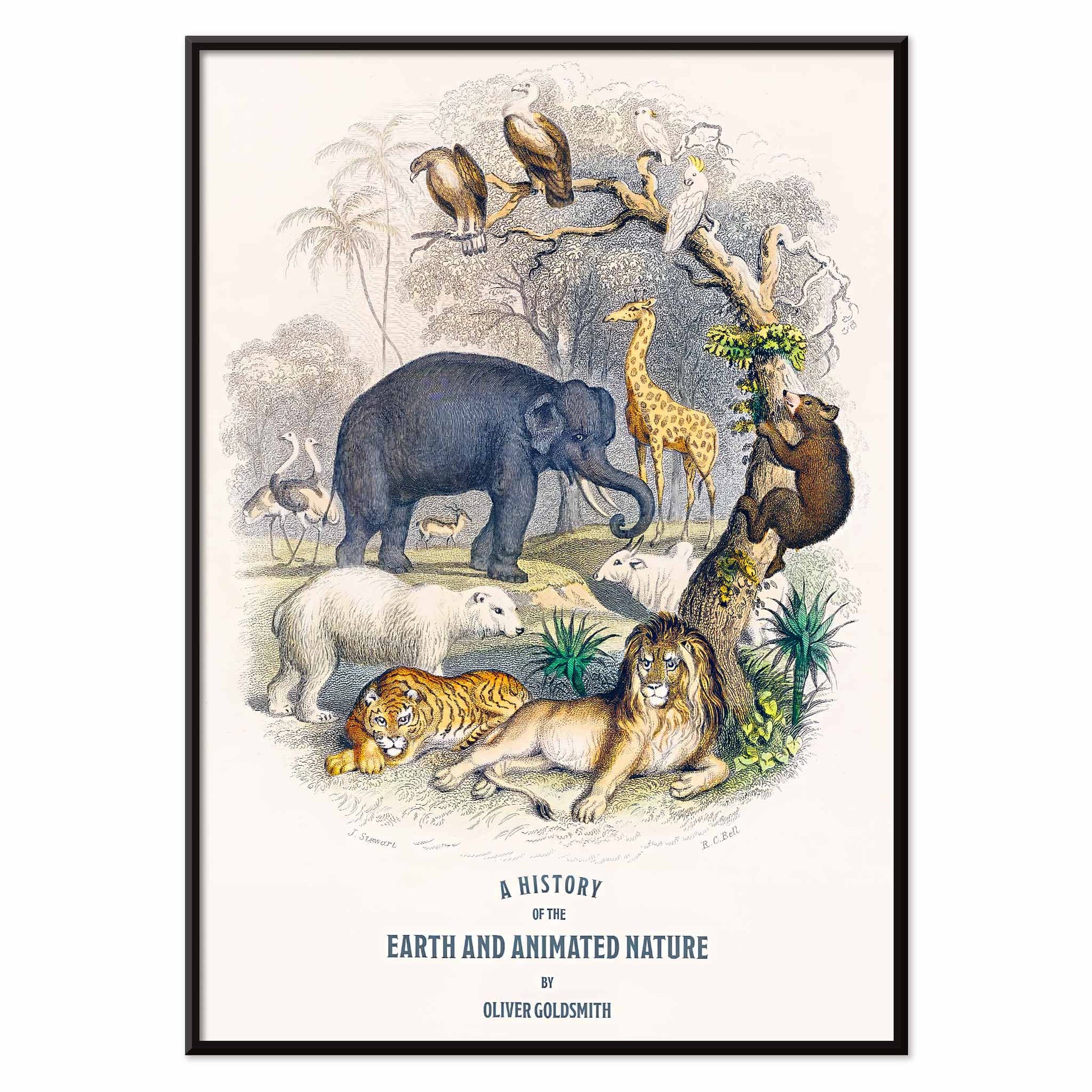 Wild animals and birds illustrated on the cover of A history of the earth and animated nature by Oliver Goldsmith poster, with black aluminium frame on white background