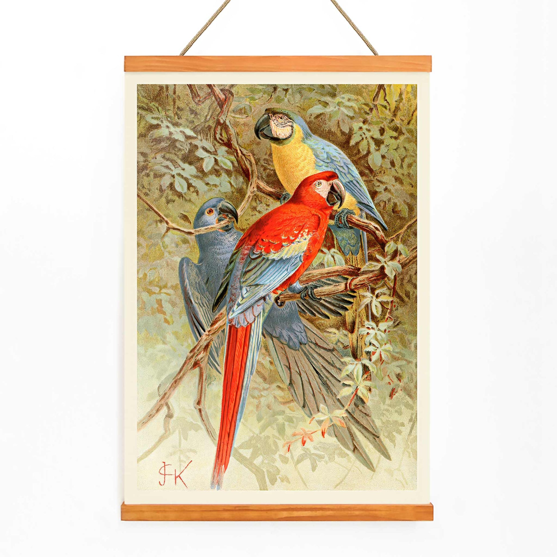Colorful macaws perched on tree branches in a lush forest vibrant macaw artwork poster, with wooden magnetic frame on white background