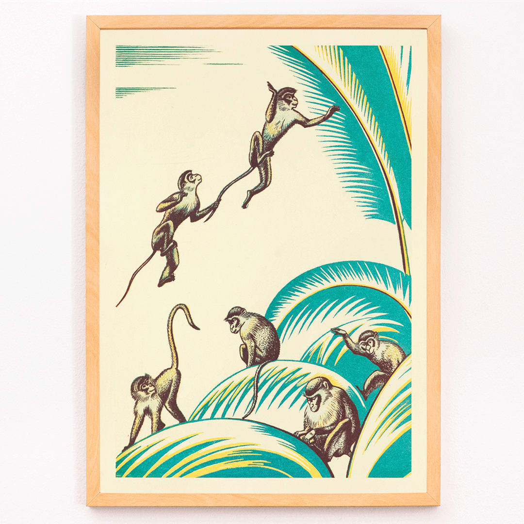 Illustration and poster of five monkeys playing among green palm leaves in the jungle titled A Jungle Picnic Pl 20 by Clifford Webb, framed and displayed in modern living room decor