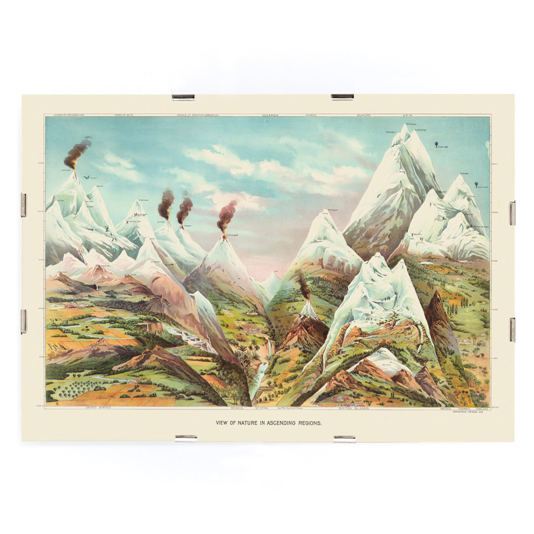 , framed and displayed in modern living room decor