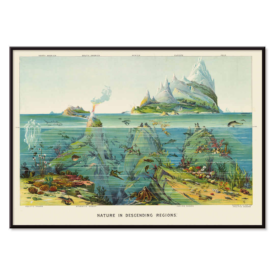 , with black aluminium frame on white background