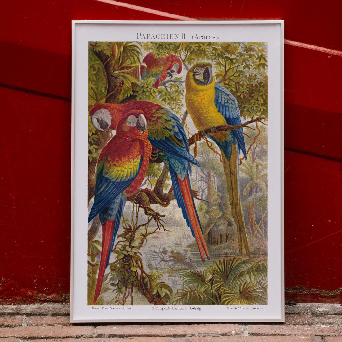 Colorful parrots in a lush jungle artwork Papageien II by Institut of Leipzig poster for wall decor, framed and displayed in modern living room decor