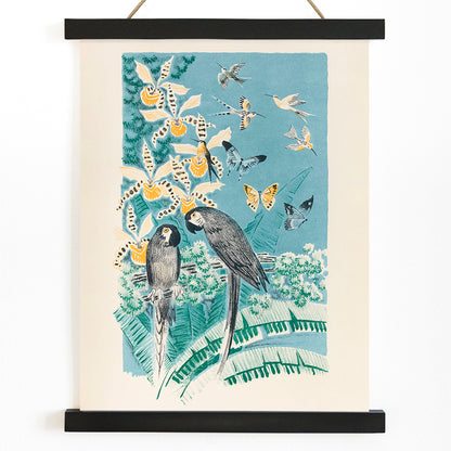 Colorful parrots butterflies and birds in a lush tropical garden illustration from Douze contes de Paris et de Provence by Paul Arène, with wooden magnetic frame on white background
