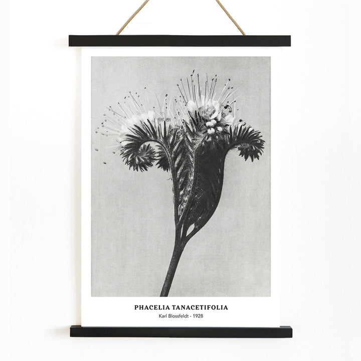 , with wooden magnetic frame on white background