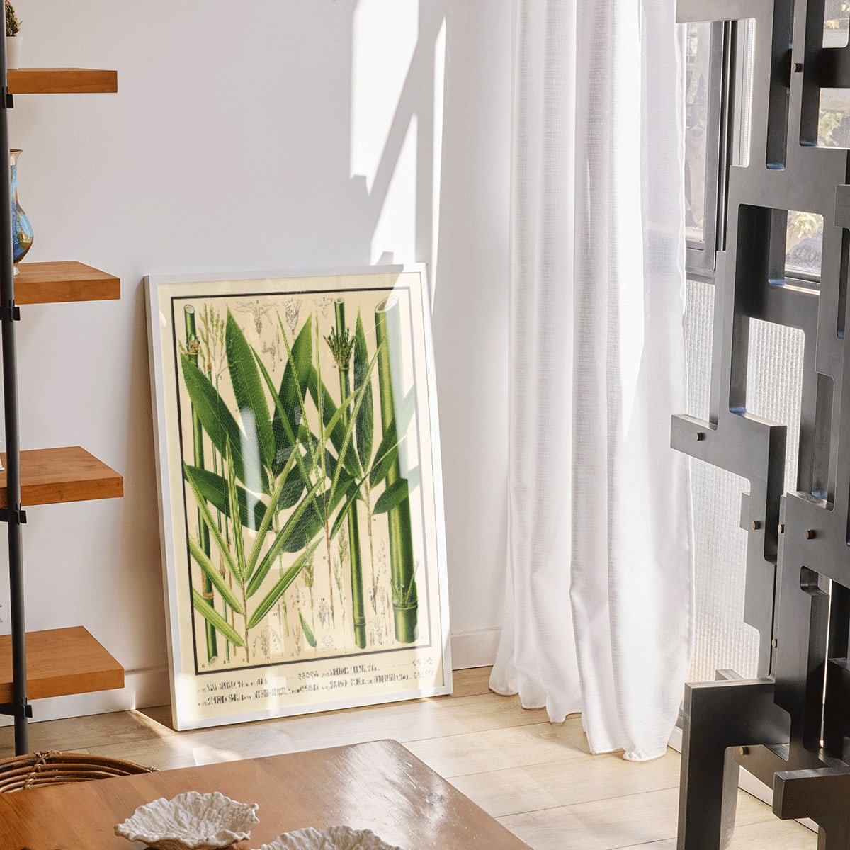 Botanical illustration and labeled poster of bamboo species by Yasuyoshi Shirasawa from Icones of the bamboos of Japan Nihon chikurui zufu Pl 08, framed and displayed in modern living room decor