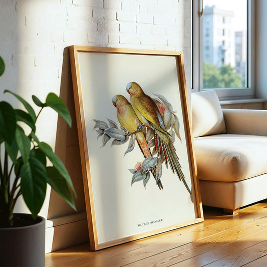 The Princess of Wales Parakeet Polytelis Alexandrae colorful birds on branches and leaves poster artwork, framed and displayed in home decor