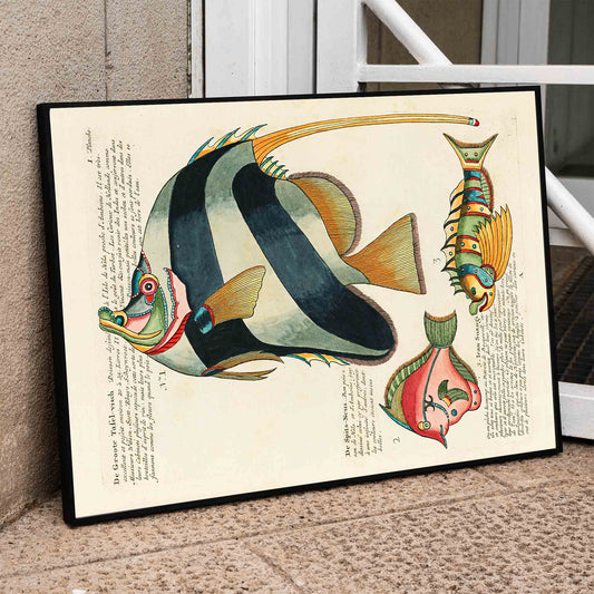 Colourful surreal fish illustrations and poster by Louis Renard from Histoire naturelle des plus rares curiositez de la mer des Indes, framed and displayed in home decor