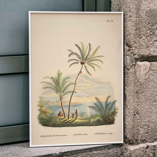 Attalea compta palm trees with people by Carl Friedrich Philipp von Martius tropical illustration and poster for wall decor, framed and displayed in home decor