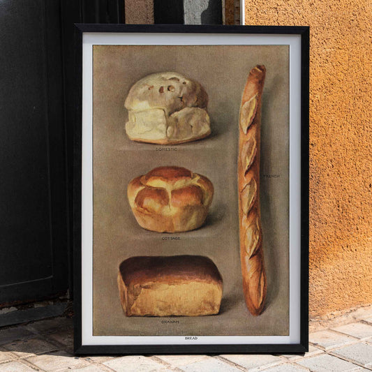 Assorted bread loaves including domestic cottage French and graham from The Grocers Encyclopedia vintage artwork collection of baked bread types poster, framed and displayed in home decor