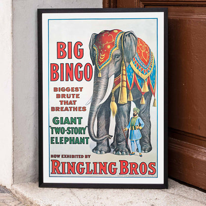 Colorful circus elephant and trainer poster artwork featuring Big Bingo a decorated giant elephant and circus keeper with vibrant circus themed graphics, framed and displayed in home decor