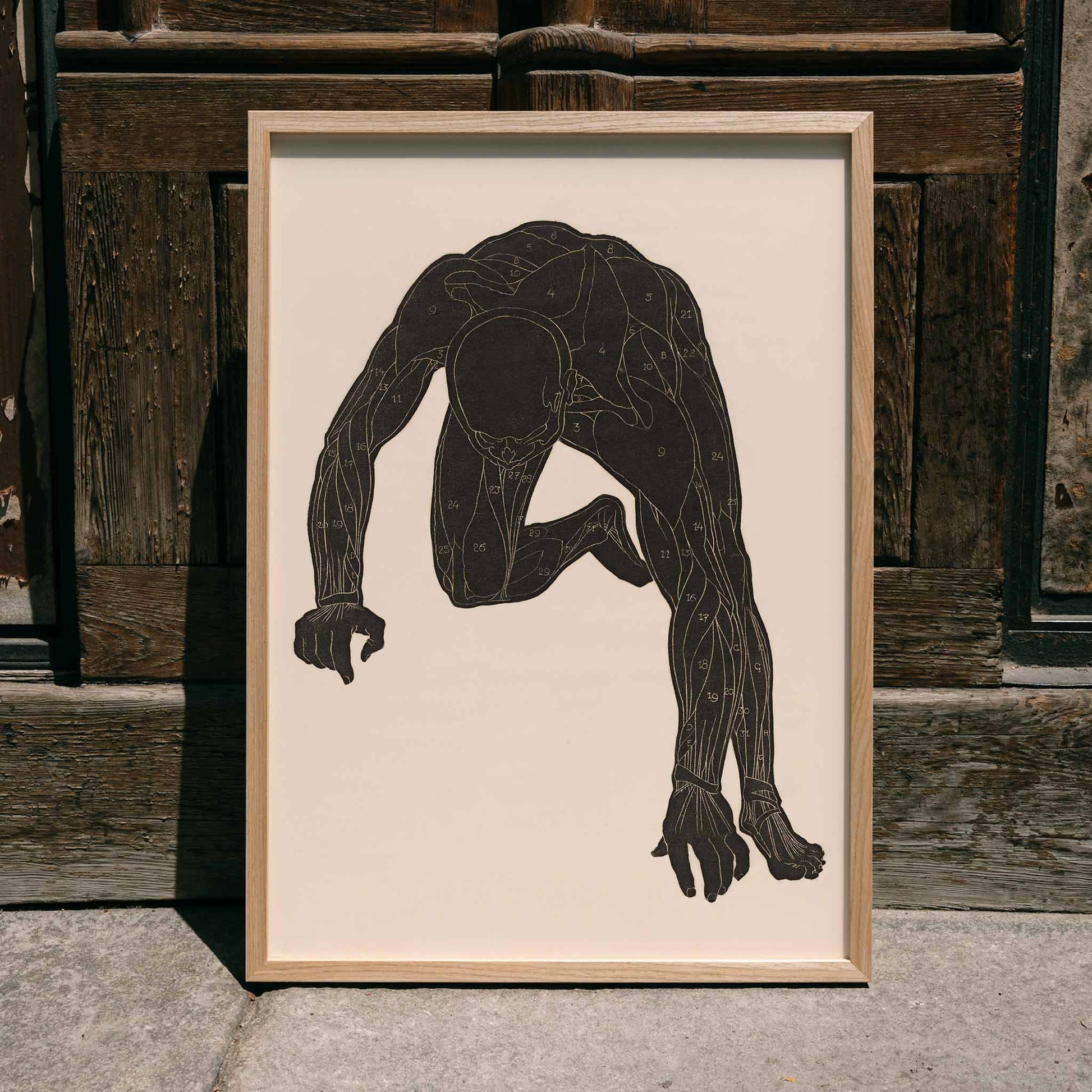 Anatomical illustration of human muscular anatomy and crouching figure from Neck Muscles by Reijer Stolk, framed and displayed in home decor